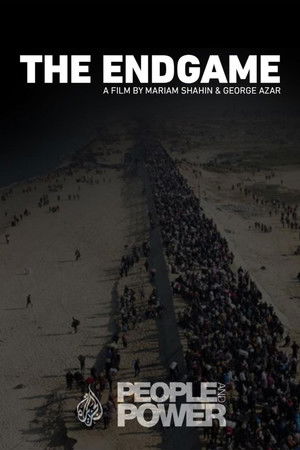 The Endgame