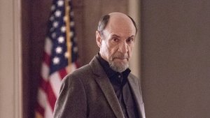 Homeland: 3×9