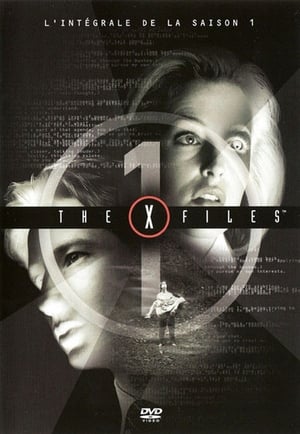 X-Files : Aux frontières du réel - Saison 1 - poster n°3