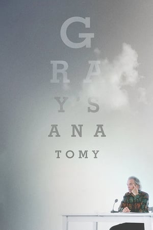 Poster Gray's Anatomy 1996