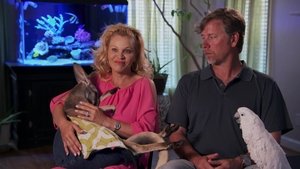 Empty Nest