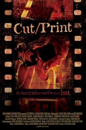 Poster Cut/Print 2012