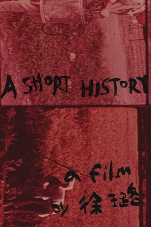 Poster A Short History (2017)