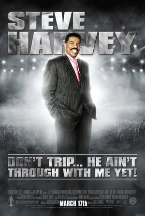 Poster Don't Trip... He Ain't Through with Me Yet (2006)