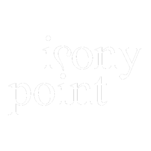 Logo Irony Point