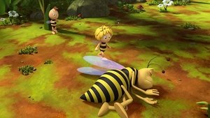 Maya the Bee Stinger Stung