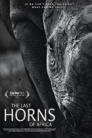 Póster oficial de la película The Last Horns Of Africa