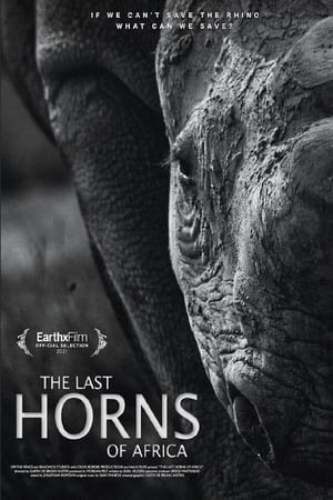 Poster The Last Horns Of Africa 2021