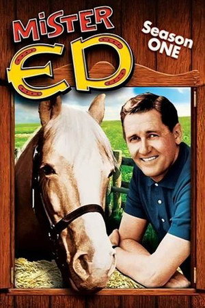Mister Ed 11