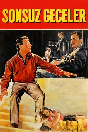 Poster Sonsuz Geceler (1965)