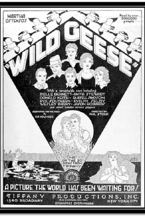 Wild Geese poster