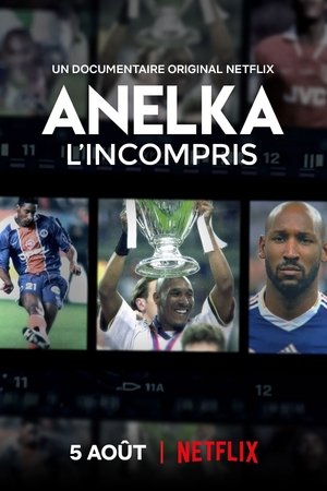 Anelka : L'Incompris