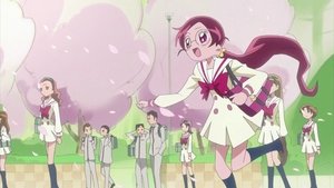 HeartCatch PreCure!: 1×1