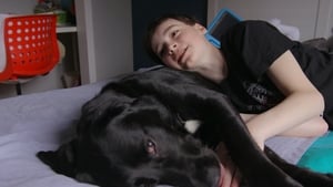 Moi et mon chien film complet