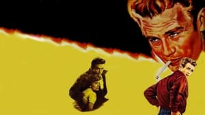 Rebel Without a Cause film complet