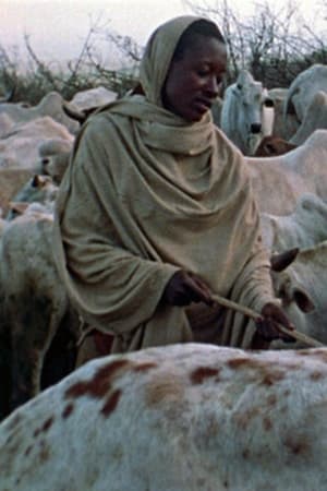 Boran Herdsmen