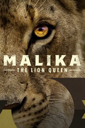 Poster Malika the Lion Queen 2021