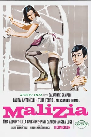Poster di Malizia
