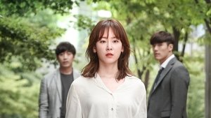 Another Miss Oh (2016) Korean Drama