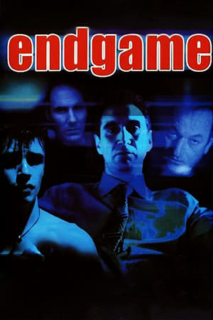 Poster Endgame 2001