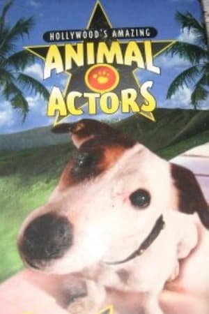 Poster Hollywood's Amazing Animal Actors 1996