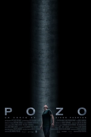 Poster Pozo 2020