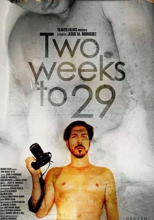 Poster Two Weeks to 29 (2020)