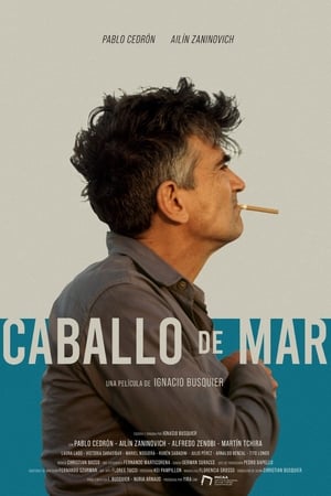 Poster Caballo de mar (2020)