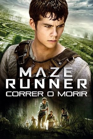 poster The Maze Runner