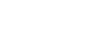 365 Dias — Logos 6