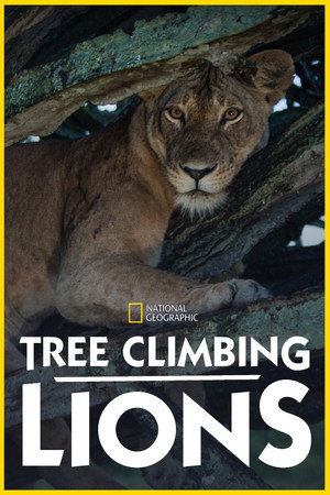 Tree Climbing Lions