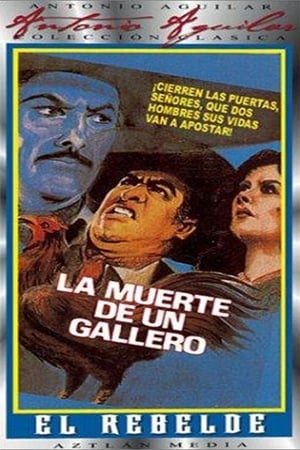 La muerte de un gallero poster