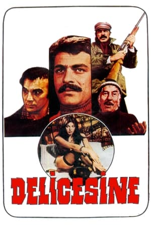 Poster Delicesine (1976)