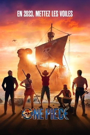 One Piece movie poster