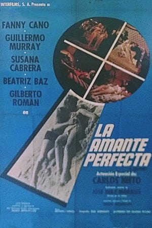 Poster The Perfect Lover (1970)