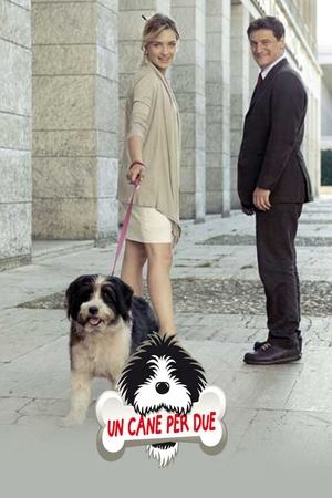 Poster Un cane per due (2010)