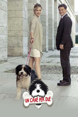 Poster Un cane per due 2010