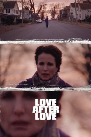 Poster di Love After Love