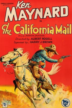 Poster The California Mail (1929)