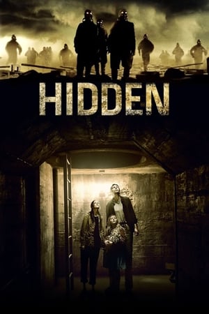 Poster Hidden 2015