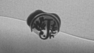 letter to a dead bird