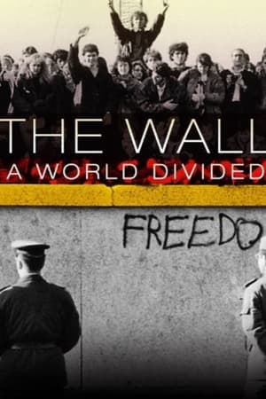 Poster The Wall: A World Divided 2010