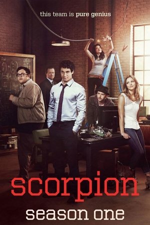 Scorpion: Staffel 1