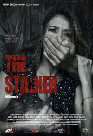 Poster The Stalker (2013)