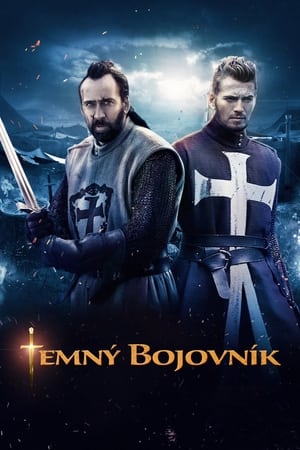 Poster Temný bojovník 2014