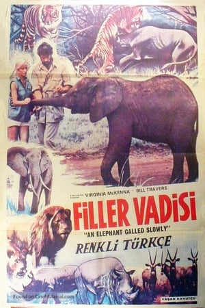 Poster An Elephant Called Slowly 1969