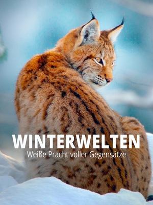 Image Terra X - Wilde Winterwelten