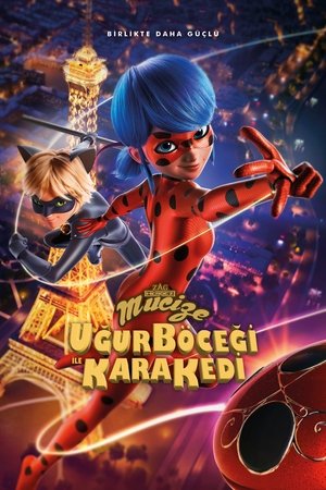 Image Mucize: Uğur Böceği ile Kara Kedi