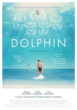 Poster Delfinen 2017