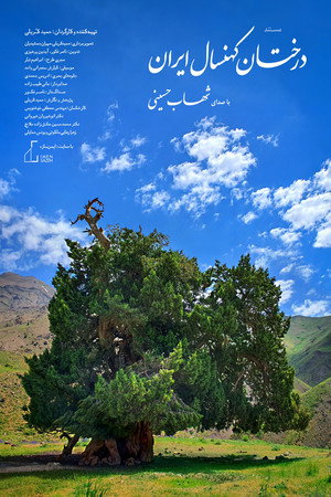 Ancient Trees of Iran's Poster